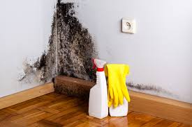 Why You Should Choose Our Mold Remediation Services in Trussville, AL